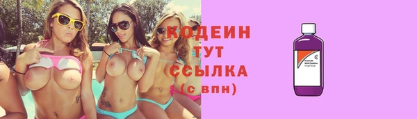 дмт Осташков